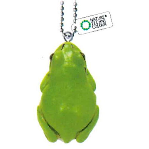 Nature Techni colour MONO PLUS Tree Frog Magnet & Ball Chain [14.Eyelid closure (ball chain)]