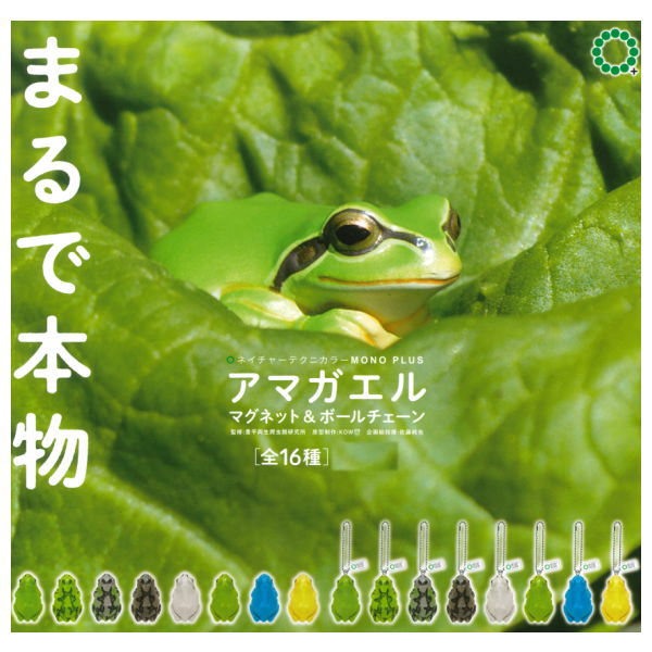 Nature Techni colour MONO PLUS Tree Frog Magnet & Ball Chain [All 16 type set(Full Complete)]