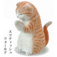 Gassho Takumi Nekohai Part.2 [4.Scottish fold]