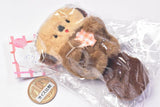 nicoyama pocket Pukapuka sea otter stuffed toy [1.1]