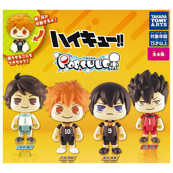 POPSULE Haikyu!! [All 4 type set(Full Complete)]