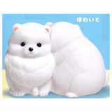 Docchimo shuyaku! Pomeranian [1.White]