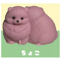 Docchimo shuyaku! Pomeranian [4.Choco]