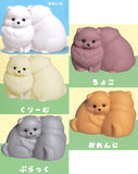 Docchimo shuyaku! Pomeranian [All 5 type set(Full Complete)]