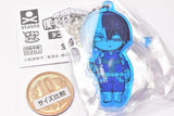 Decora PIC Acrylic My Hero Academia [5.Shoto Todoroki]