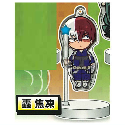 Decora PIC Acrylic My Hero Academia [5.Shoto Todoroki]