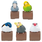 Perch bird's marker Spring [All 5 type set(Full Complete)]