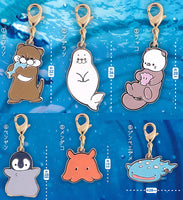 Aquarium metal charm [All 6 type set(Full Complete)]