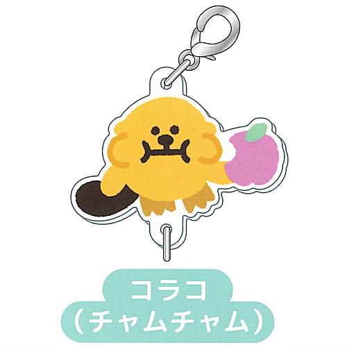 Raccos tsunagaru! acrylic charm [1.Korako(chamcham)]