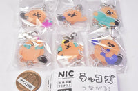 Raccos tsunagaru! acrylic charm [All 6 type set(Full Complete)]