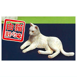 MONO Young Animal Series Tenori Japanese Cat [2.White cat nesoberi]