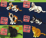 MONO Young Animal Series Tenori Japanese Cat [All 6 type set(Full Complete)]