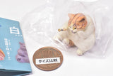 Art Unib Technicolour Cretaceous cat figure mascot [6.Neko kouro (brown hachiware)]