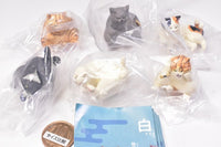 Art Unib Technicolour Cretaceous cat figure mascot [All 6 type set(Full Complete)]
