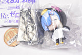 Shirokuro Capsule Re: Life in a different world from Zero [6.Rem (gentoo penguin)]