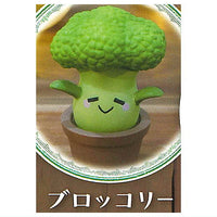Mandrake collection Part.2 [2.Broccoli]