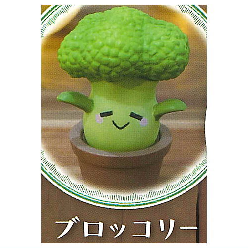 Mandrake collection Part.2 [2.Broccoli]