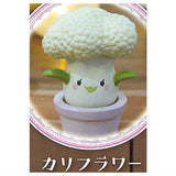 Mandrake collection Part.2 [3.Cauliflower]
