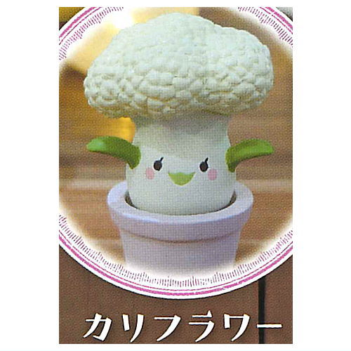 Mandrake collection Part.2 [3.Cauliflower]