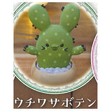 Mandrake collection Part.2 [4.Prickly pear cactus]