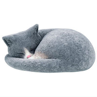 Anmonyaito [1.Black hachiware]