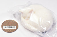 Anmonyaito [2.White cat]