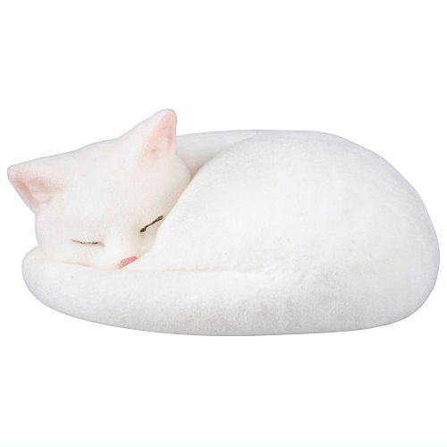 Anmonyaito [2.White cat]