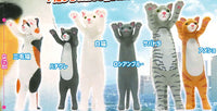 Touch Zoo Nyanko mini figure [All 6 type set(Full Complete)]