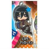 Decora PIC Acrylic Attack on Titan The Final Season [2.Mikasa Ackerman]