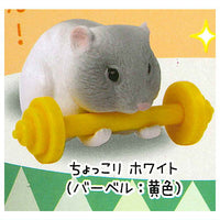 Ganbaru! Barbell hamsters [1.Chokkori White (Barbell: Yellow)]