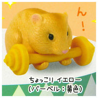 Ganbaru! Barbell hamsters [2.Chokkori Yellow (Barbell: Yellow)]