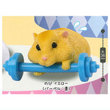 Ganbaru! Barbell hamsters [6.Nobi Yellow (Barbell: Blue)]
