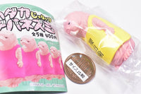 Hadakajanai!! Debanezumi [3.Hadakadeba]