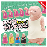 Hadakajanai!! Debanezumi [All 5 type set(Full Complete)]