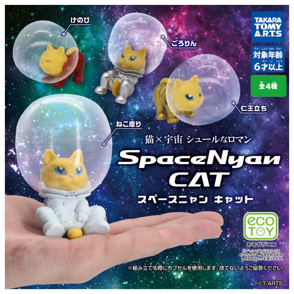 SpaceNyan CAT [All 4 type set(Full Complete)]