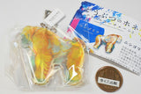 Animal Bone Acrylic Keychain [1.Western gorilla]