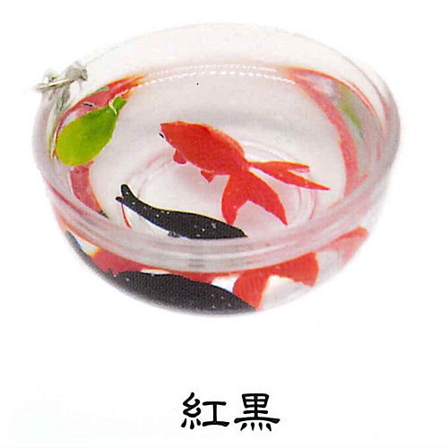 Four-tailed goldfish small bowl [1.Red Black]