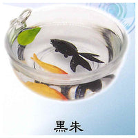 Four-tailed goldfish small bowl [3.Black Vermillion]