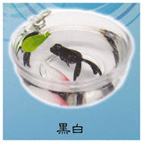 Four-tailed goldfish small bowl [5.Black White]