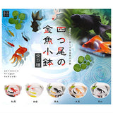 Four-tailed goldfish small bowl [All 5 type set(Full Complete)]