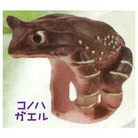 Dakitsuki Frog Ring [1.Long-nosed horned frog]