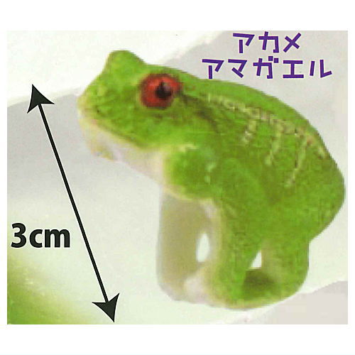 Dakitsuki Frog Ring [4.Red-eyed tree frog]