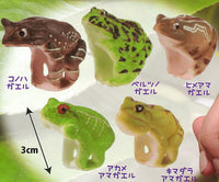 Dakitsuki Frog Ring [All 5 type set(Full Complete)]