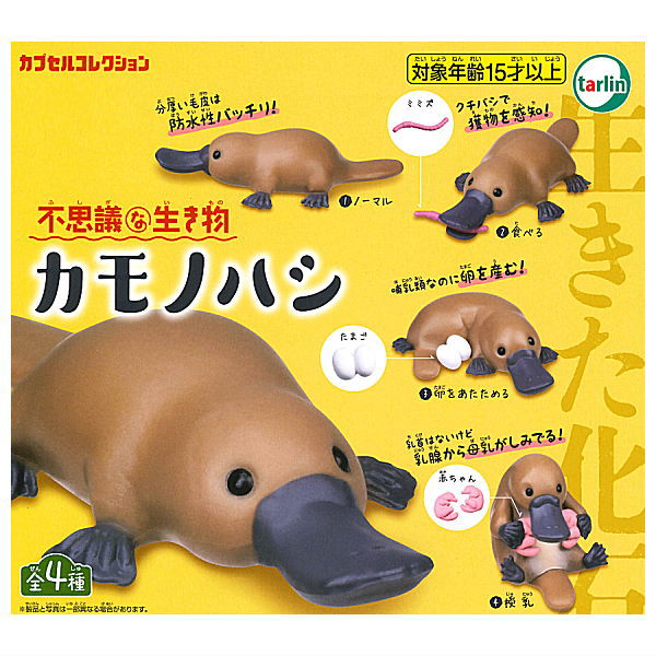 Mysterious Creature Platypus [All 4 type set(Full Complete)]