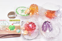 Retro turtle jelly [Assorted 4 type set (2.Lemon/3.Orange/4.Strawberry/6.Grape)]