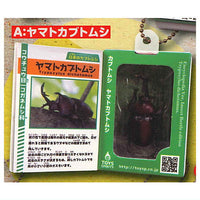 Insect Encyclopedia Mascot Beetle [White cover] [1.Yamato beetle]