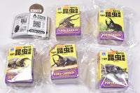 Insect Encyclopedia Mascot Beetle [Yellow cover] [All 5 type set(Full Complete)]