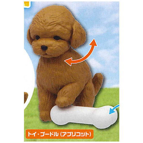 Capsule ANIA chiisanaosewa animal hen [2.Toy poodle (apricot)]