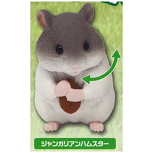 Capsule ANIA chiisanaosewa animal hen [3.Hamster (djungarian)]