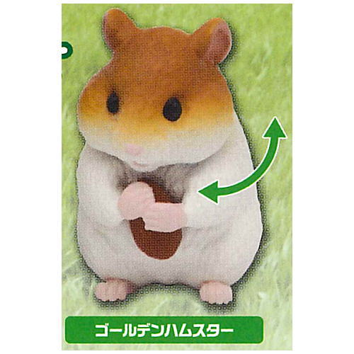 Capsule ANIA chiisanaosewa animal hen [4.Hamster (golden)]